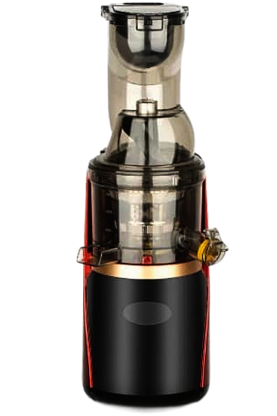 RAF Slow Juicer 150W R.2831