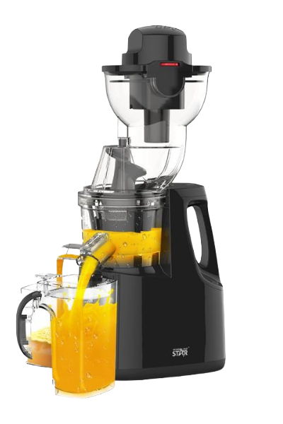 Winning Star Professional Slow Juicer ST-1020