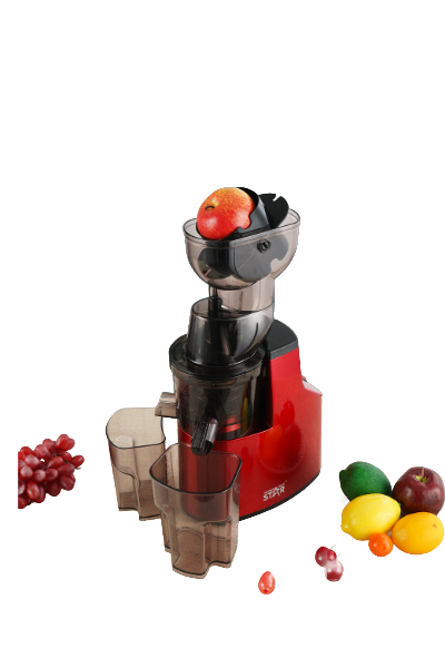Winning Star ST-1000 150W Electric Juice Extractor Slow