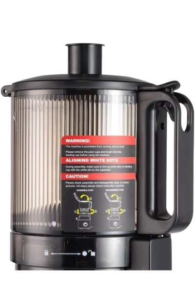 RAF Slow Juicer - 300w - R.2733