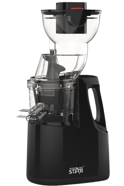 Winning Star Professional Slow Juicer ST-1020