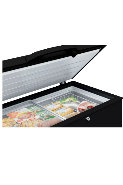 Hisense Freezer FC320SH 250L
